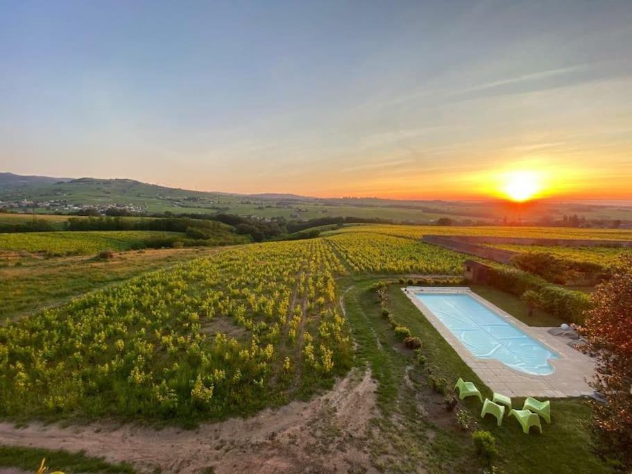 Au Coeur Des Vignes Moulin A Vent Lejlighed La Chapelle-de-Guinchay Eksteriør billede